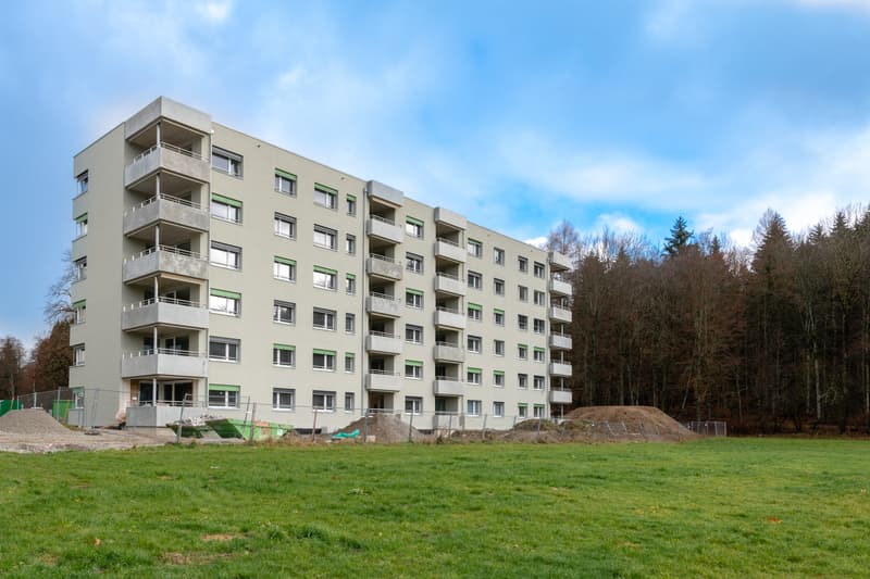 Appartement moderne dans un cadre agréable à Bulle (1)