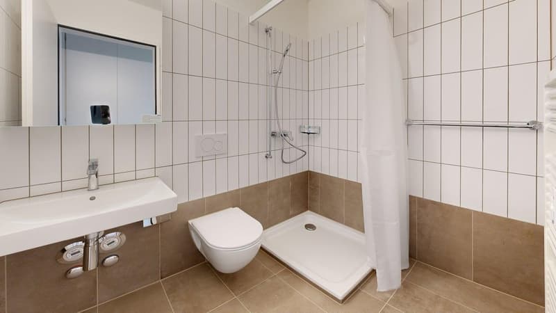 Ihr Neuanfang im Neuhofquartier - sanierte 4.5 Zimmer-Wohnung (7)