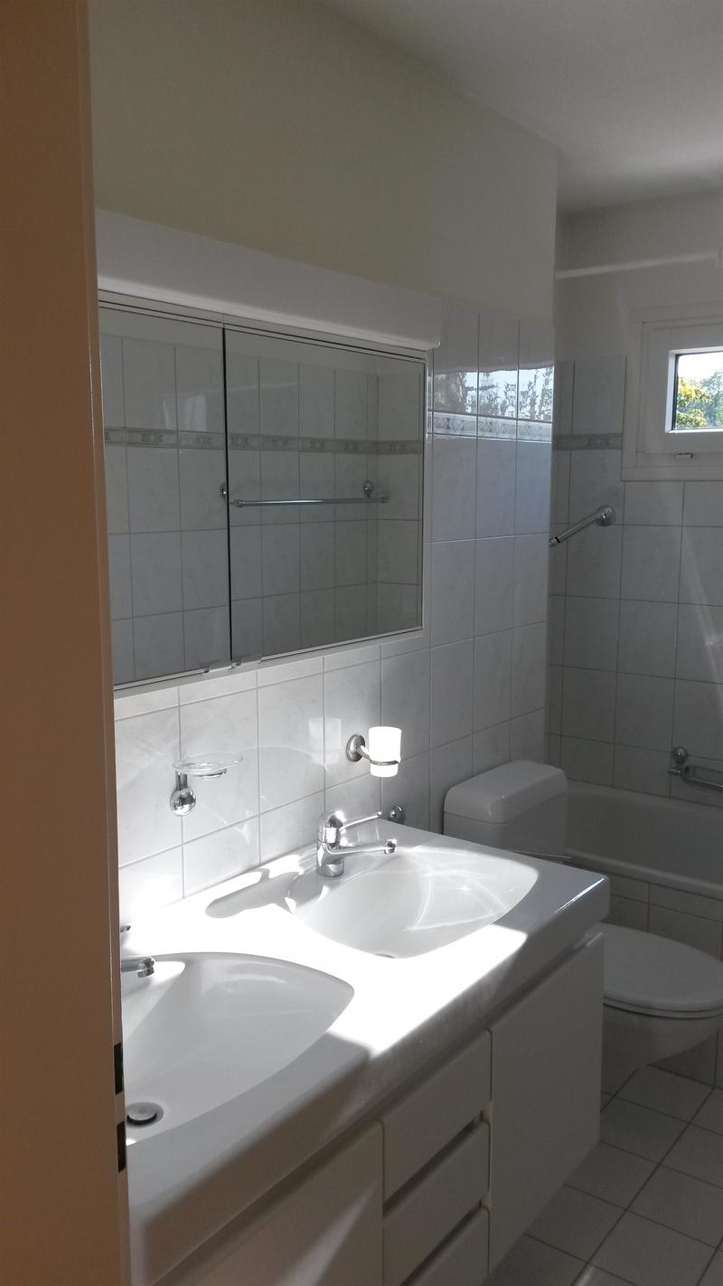 Wohntraum Attika - im bevorzugten Haslenquartier mit 2 Terrassen! (10)