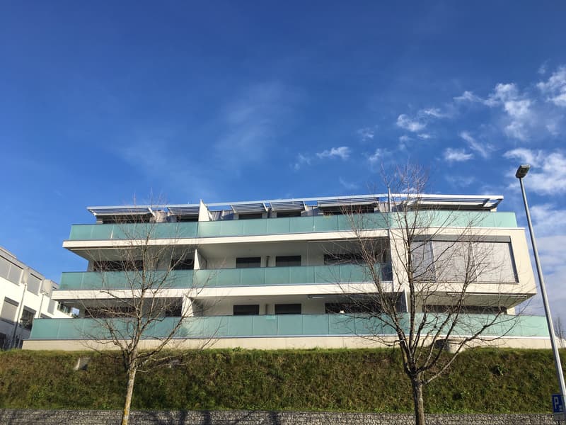 Bel appartement - Quartier de la Sallaz (9)