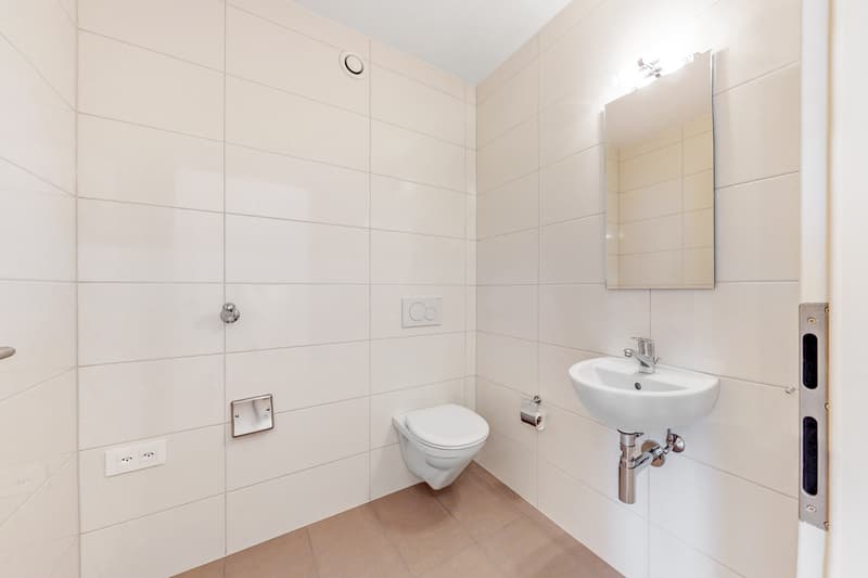 Bel appartement - Quartier de la Sallaz (6)