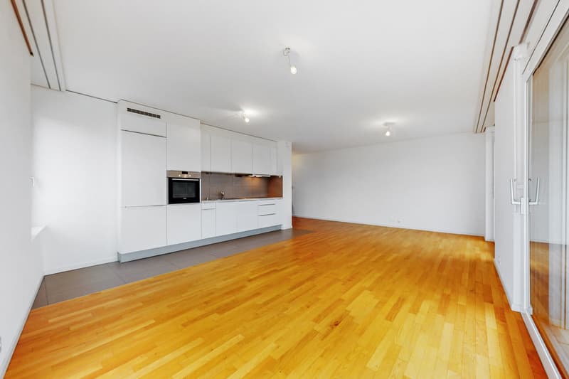 Bel appartement - Quartier de la Sallaz (2)