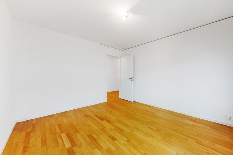 Bel appartement - Quartier de la Sallaz (4)