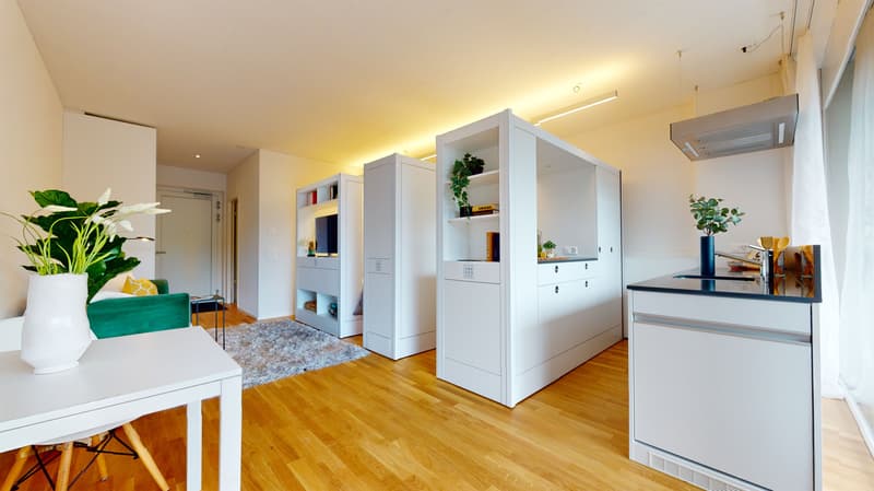 Möblierte Singlewohnung im Henz Areal (4)