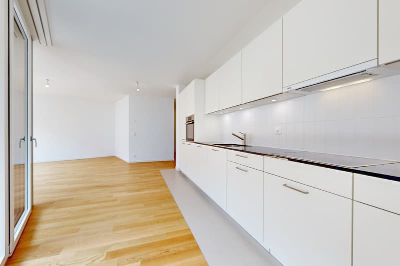 Votre logement dans le nouvel ecoquartier des Plaines-du-Loup ! (3)