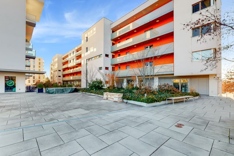 Votre logement à Nyon ! (1)