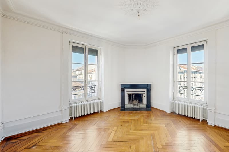 Un bel appartement dans le quartier de Plainpalais ! (2)