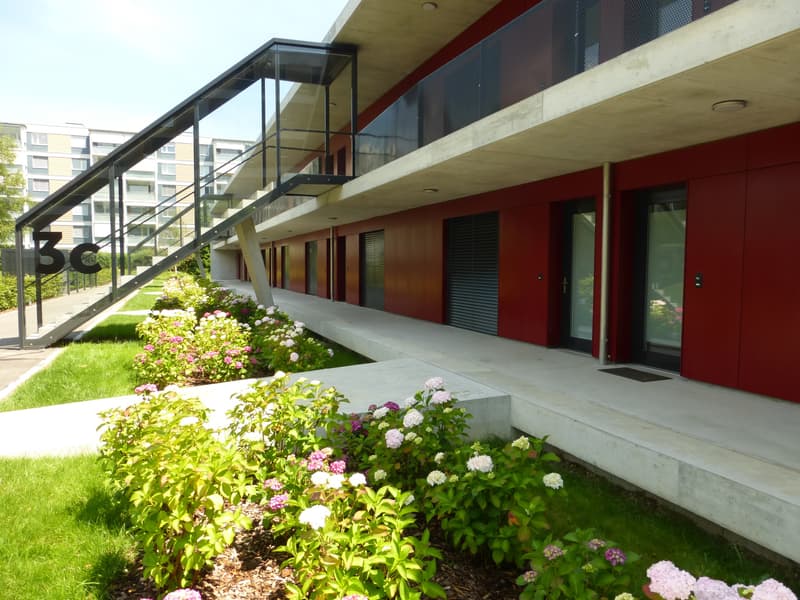 Ihre erste eigene und moderne Wohnung! (6)