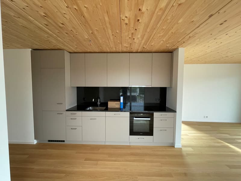 Modernes Wohnen in Feldmeilen (4)