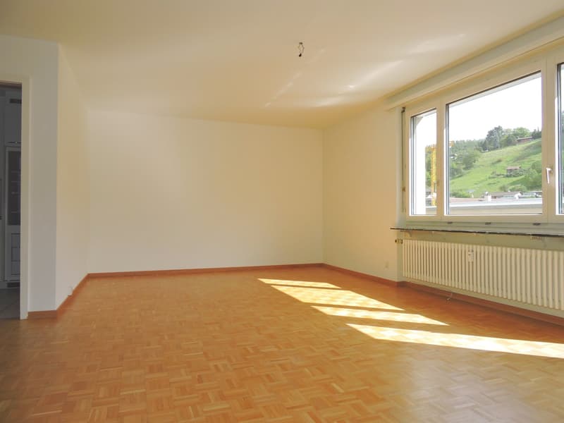 Lichtdurchflutete Attikawohnung (4)