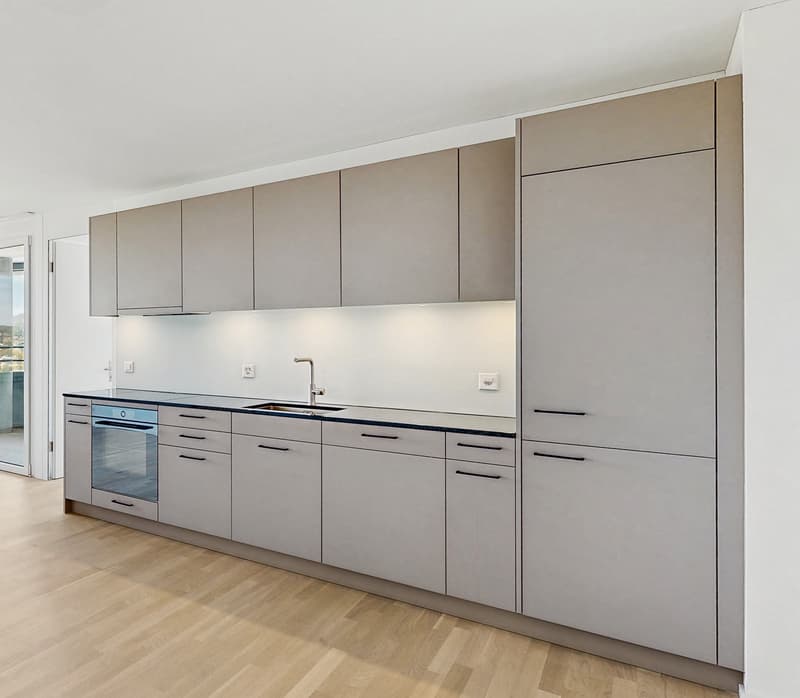 Modern wohnen mit Weitblick in Aesch BL (2)