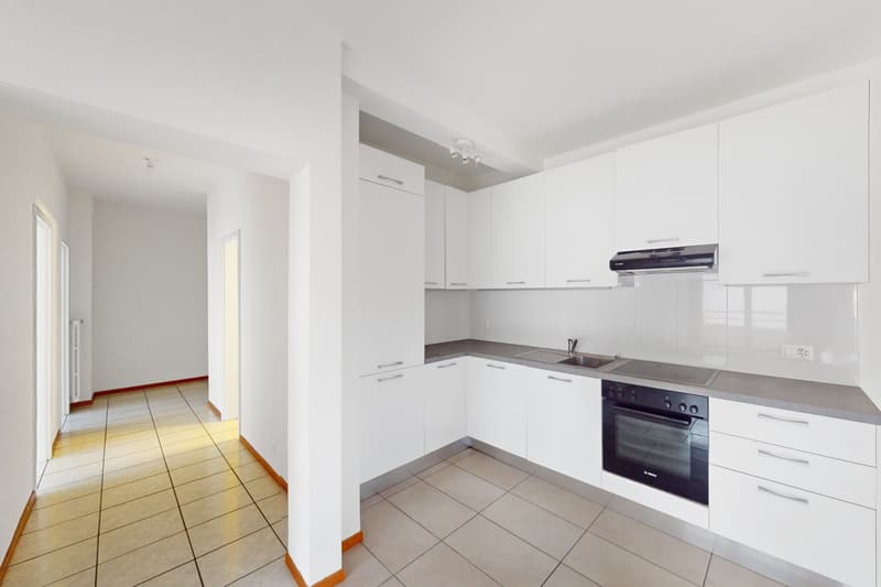 La tua nuova casa ti aspetta a Molino Nuovo (4)