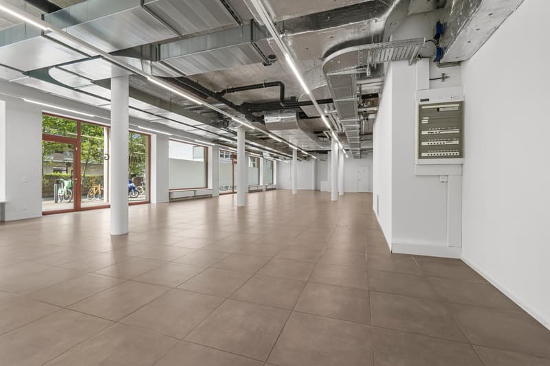 Grosszügiger Gewerberraum an attraktiver Lage im Quartier Greencity (4)