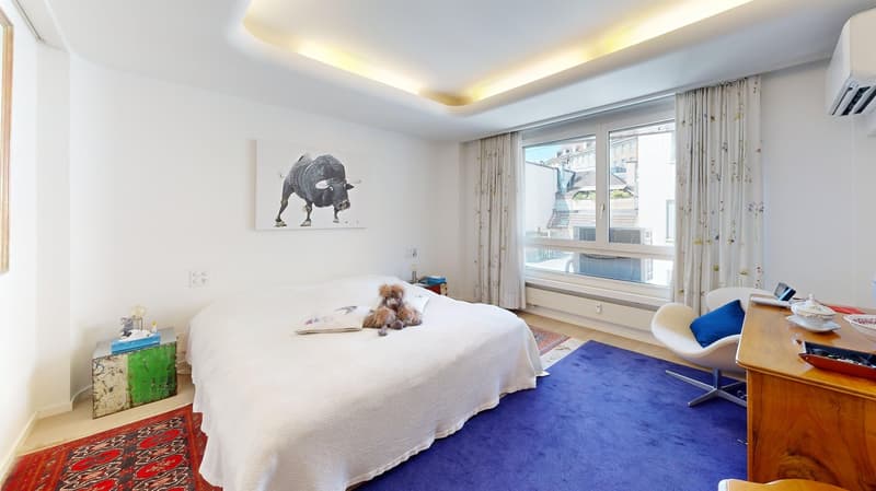 Exklusive 6.0-Zimmerwohnung in Basel (2)