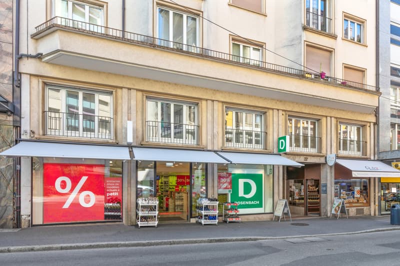 Votre logement à Vevey (2)