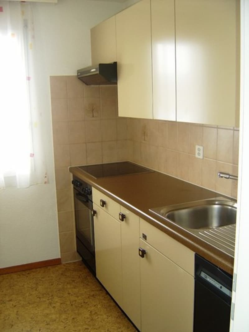 Zentrale und helle Wohnung zu vermieten (1)