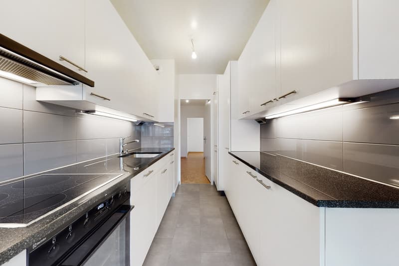 Grand appartement de 6 pièces proche de la Gare Cornavin (2)