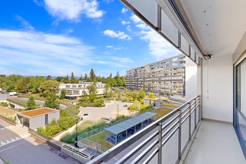 Bel appartement de 7 pièces dans le quartier de Chêne-Bougeries (12)