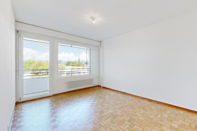 Bel appartement de 7 pièces dans le quartier de Chêne-Bougeries (6)