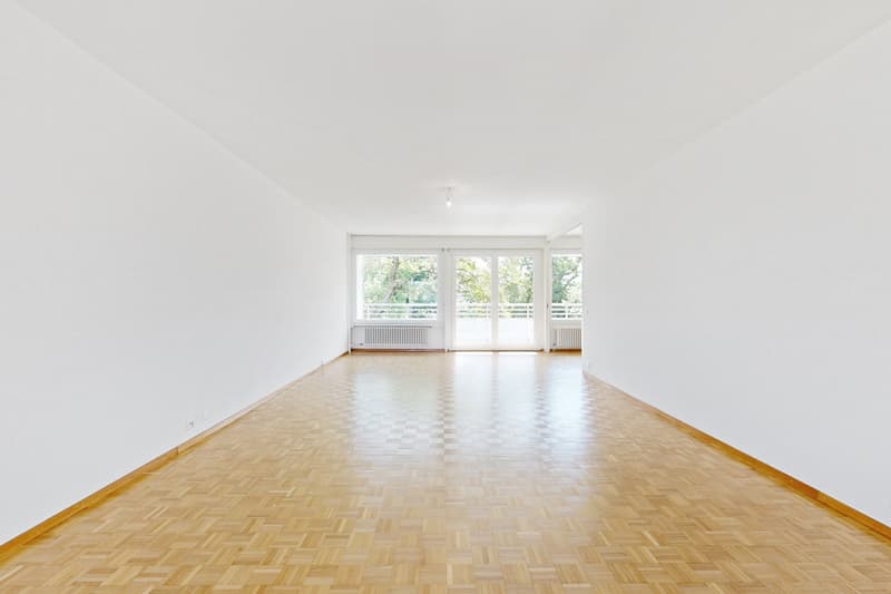 Bel appartement de 7 pièces dans le quartier de Chêne-Bougeries (7)