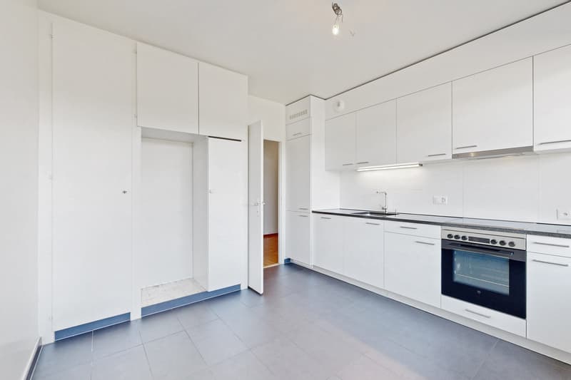 Bel appartement de 7 pièces dans le quartier de Chêne-Bougeries (4)