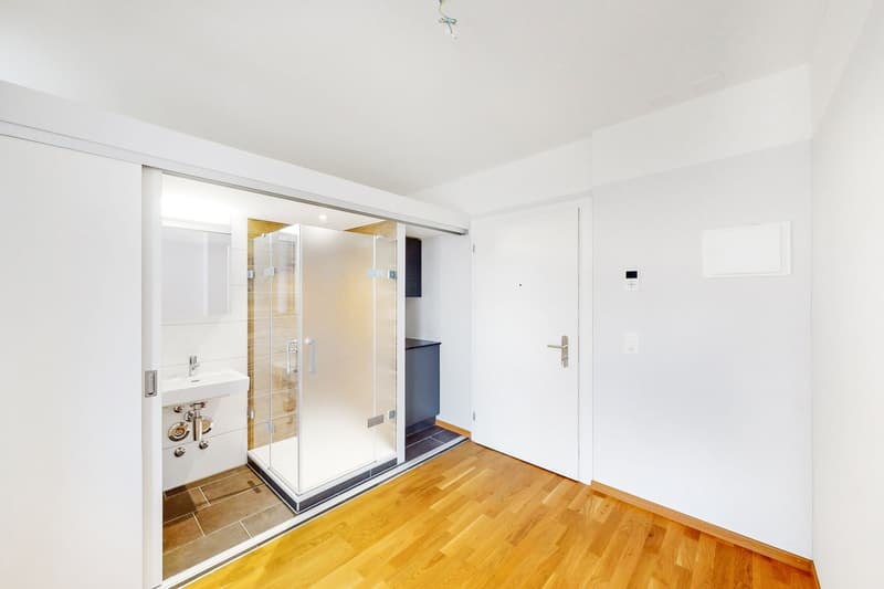 Studio an zentraler Lage in Zürich Wiedikon (2)