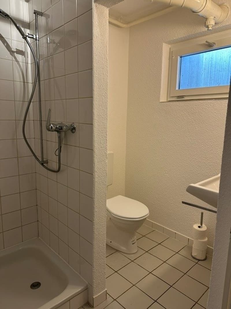 Attraktives Wohnstudio  im steuergünstigen und beliebten Kilchberg! (9)