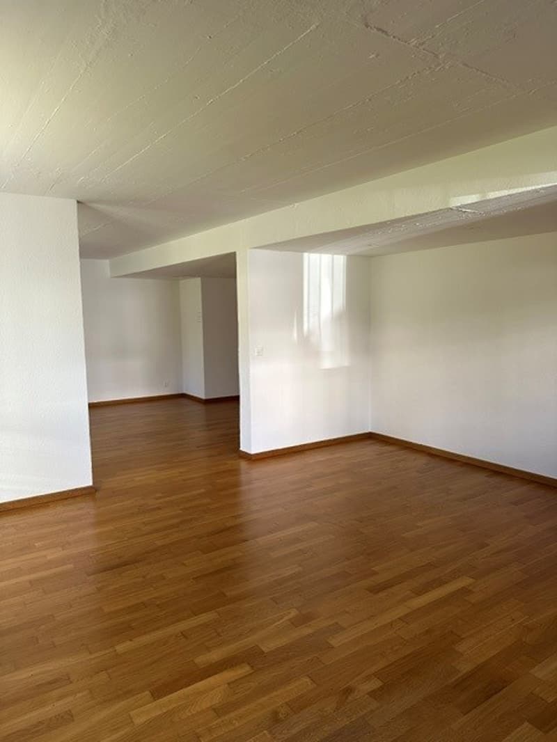 Attraktives Wohnstudio  im steuergünstigen und beliebten Kilchberg! (3)