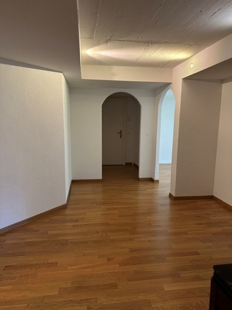 Attraktives Wohnstudio  im steuergünstigen und beliebten Kilchberg! (7)