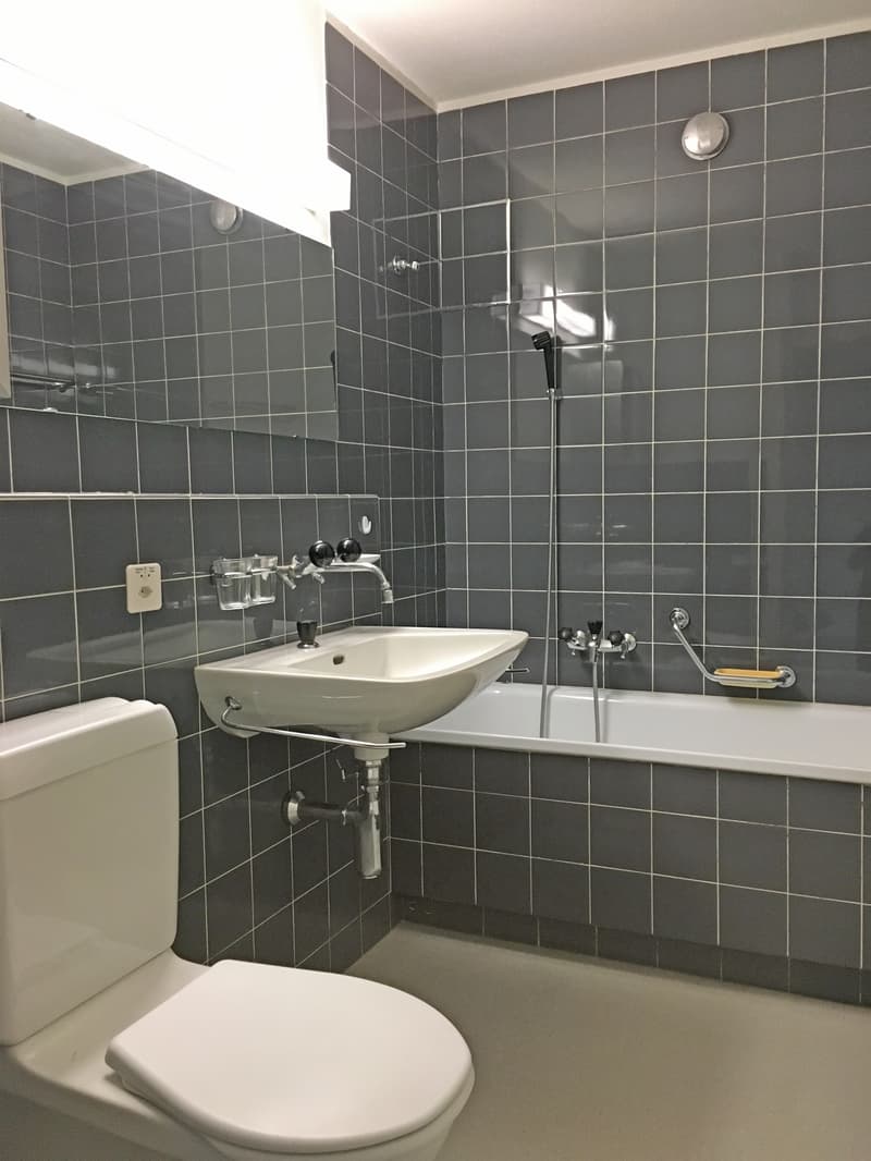 Leben am Zugersee - BEFRISTET BIS 30.11.2028 (6)