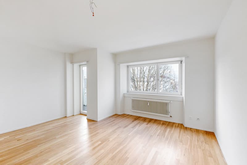 Die perfekte 1-Zimmerwohnung im Gellert (7)