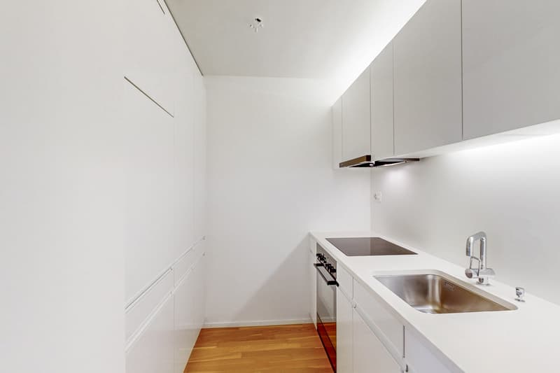 Die perfekte 1-Zimmerwohnung im Gellert (3)