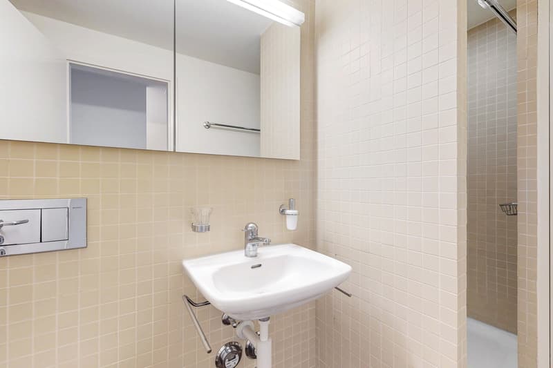Die perfekte 1-Zimmerwohnung im Gellert (8)