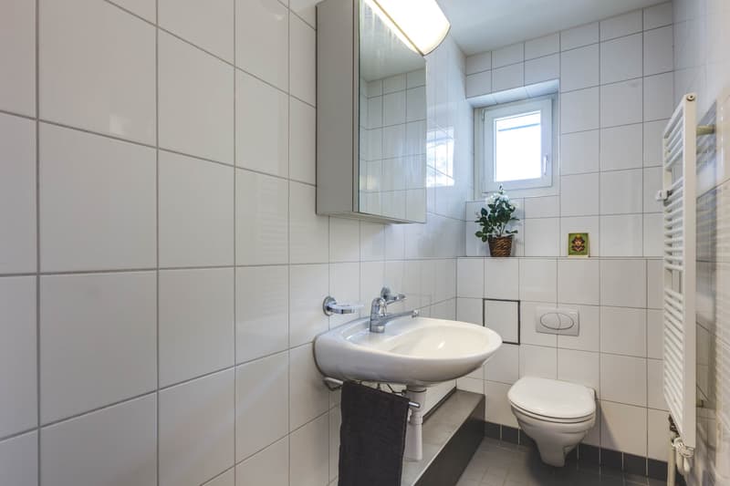 Wohnen im schönen Lehenmatt-Quartier (12)