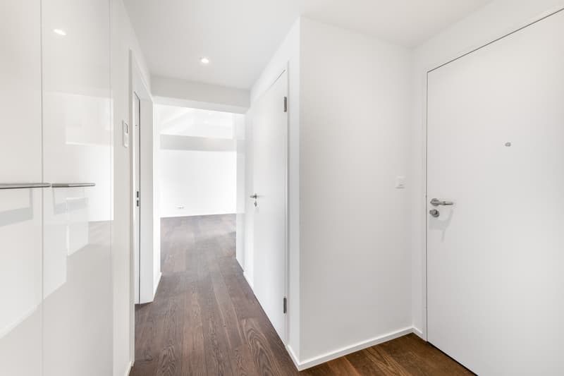 Exklusive Dachwohnung im Seefeld (2)