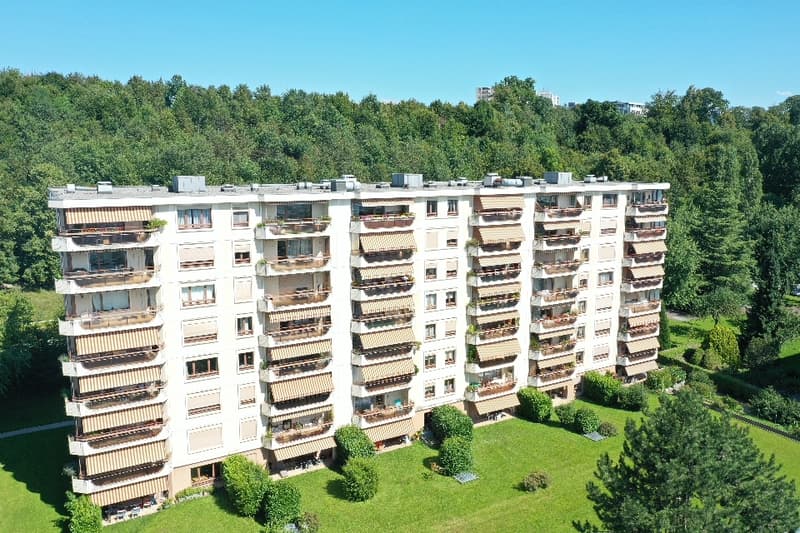 Magnifique logement (2)