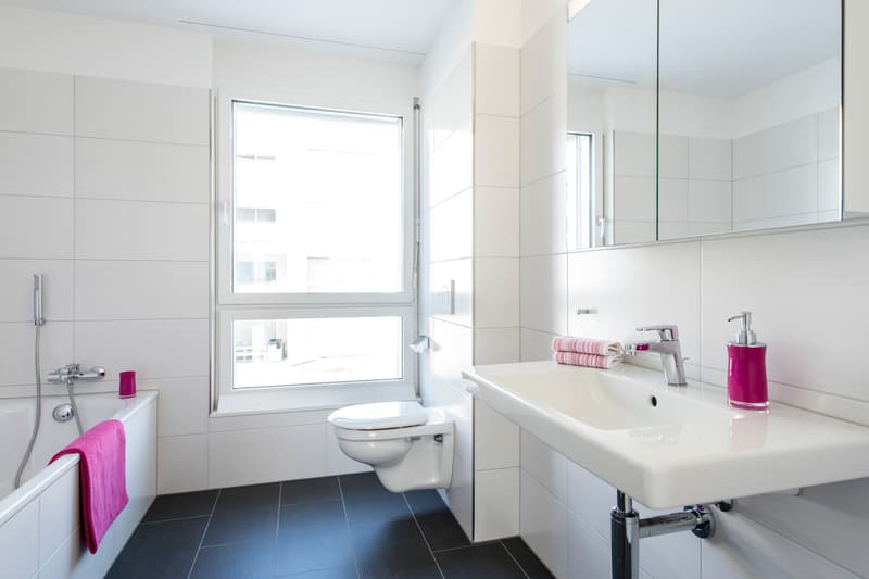 Erleben Sie Leichtigkeit - 3.5 Zimmer-Wohnung in Reinach AG (6)