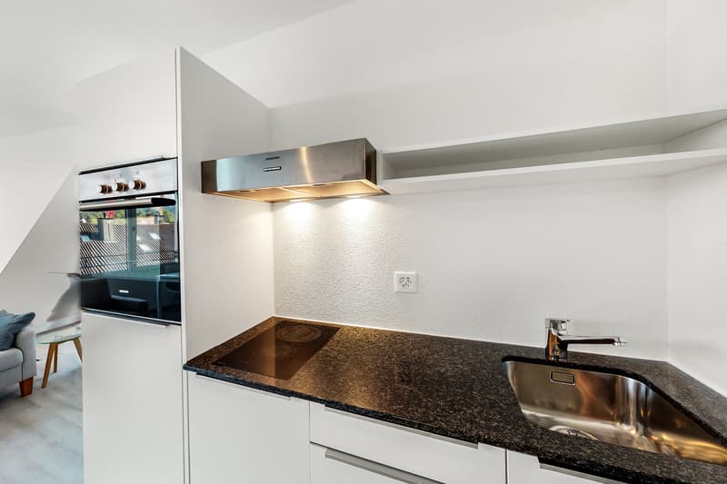 Moderne und möblierte Wohnung (5)