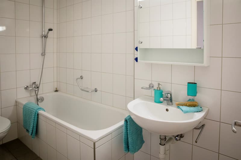 Gemütliche Singlewohnung sucht Sie! (3)