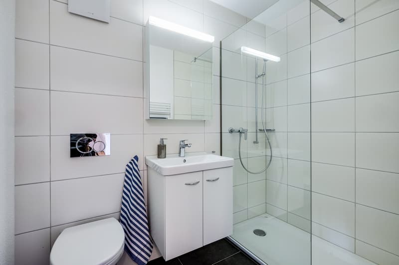 Ihr neues Zuhause in unmittelbarer Nähe zum Bodensee (4)