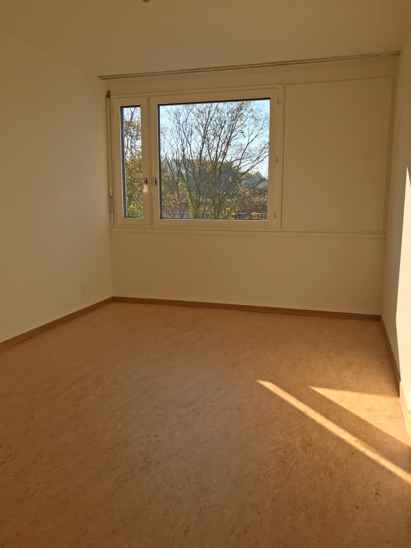 Gemütliche Singlewohnung (3)