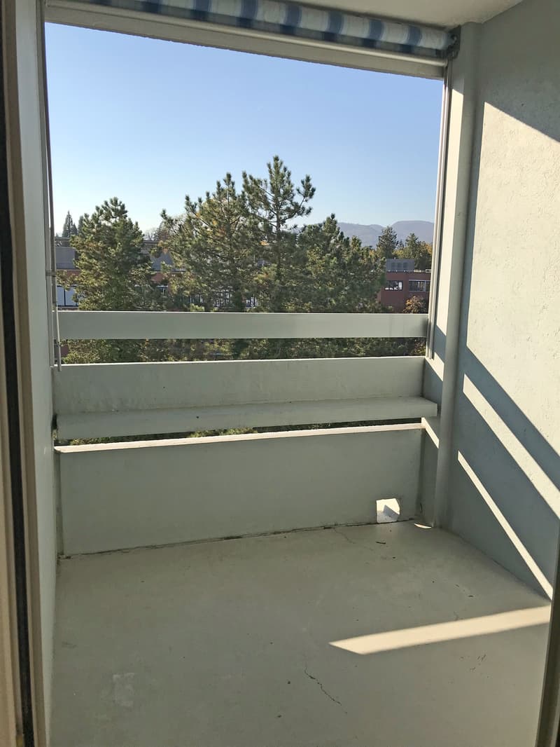 Gemütliche Singlewohnung (6)