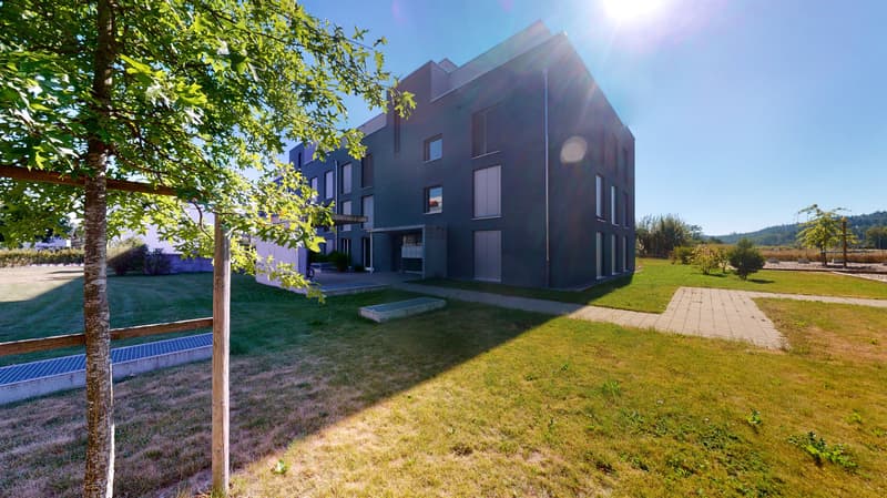 Ein Traum ein Gartensitzplatz? (11)