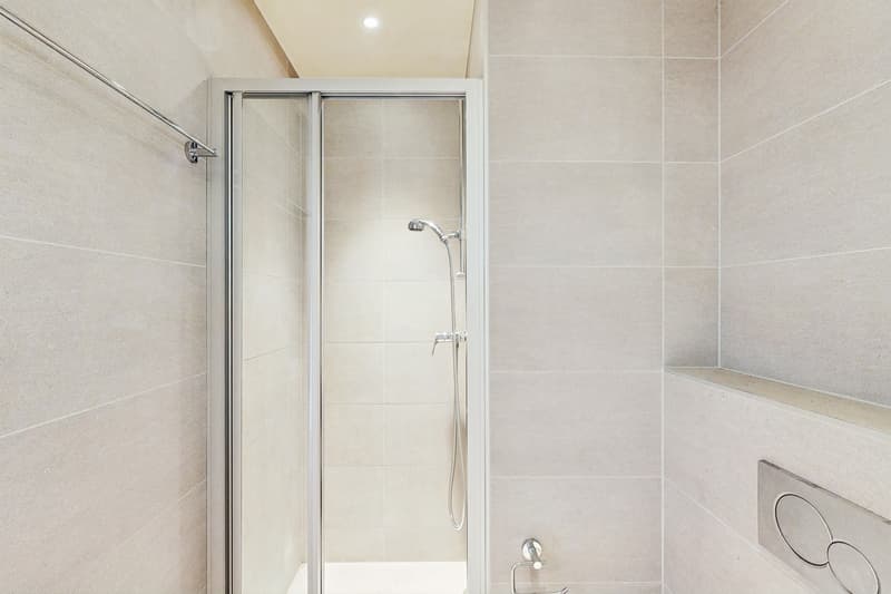 Superbe duplex en attique au Grand-Lancy (6)