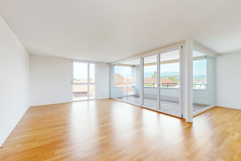 Topmoderne Attikawohnung mit grosser Terrasse (2)