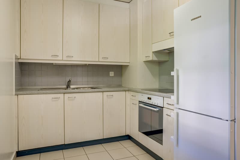 Bel appartement (6)
