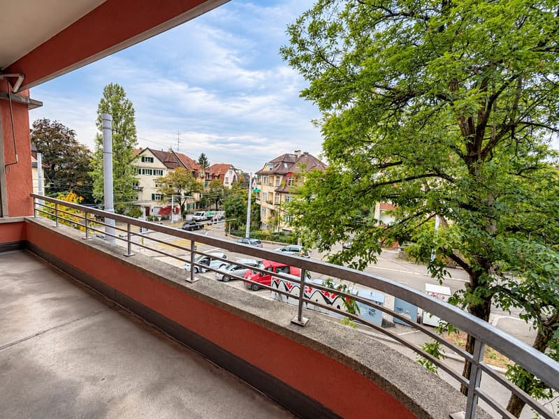 Grosszügige Wohnung an zentraler Lage (9)