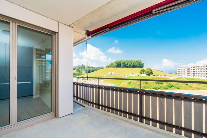 Naturnah und unweit von Solothurn entfernt - Mieter per 16.11. gesucht (1)
