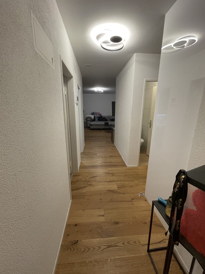 Geniessen Sie den dörflichen Charakter von Aarau Rohr - Nachmieter gesucht. (7)