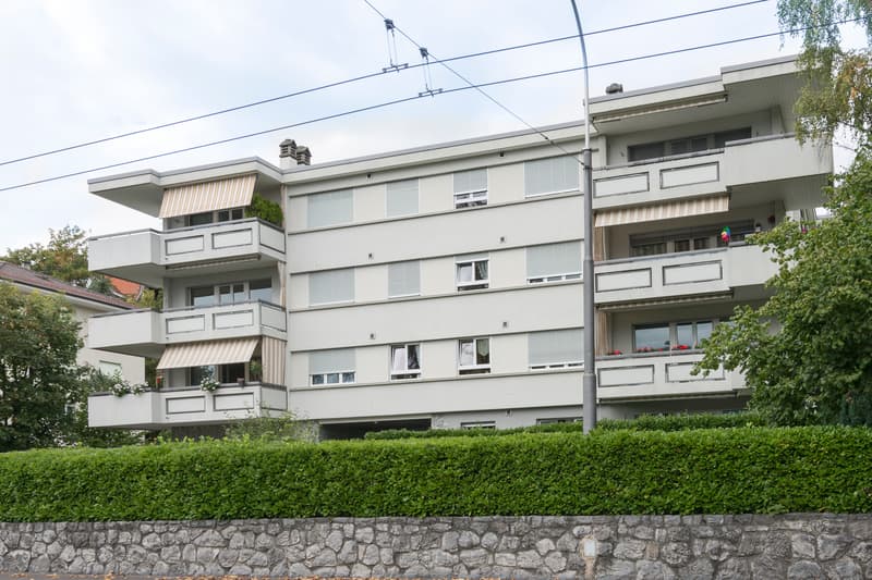 Proche du lac (3)